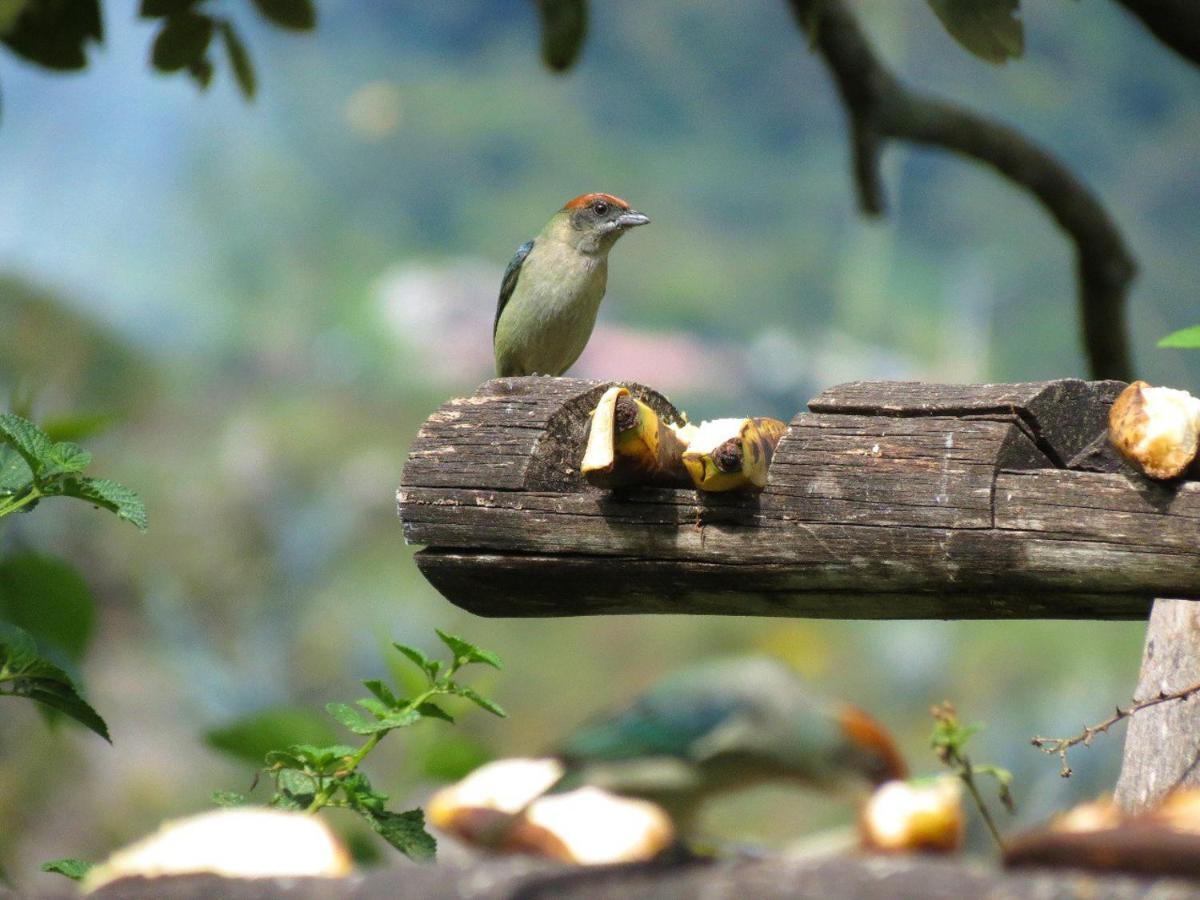 Hosteria Cananvalle อิบาร์รา ภายนอก รูปภาพ